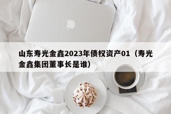山东寿光金鑫2023年债权资产01（寿光金鑫集团董事长是谁）