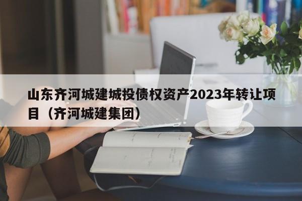 山东齐河城建城投债权资产2023年转让项目（齐河城建集团）