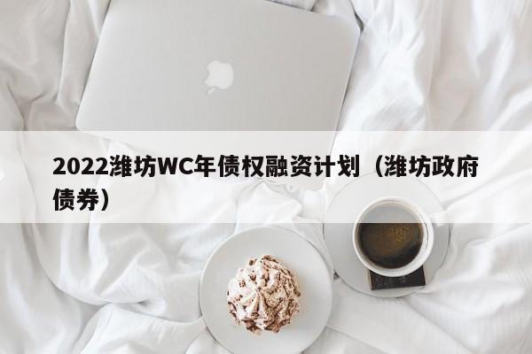 2022潍坊WC年债权融资计划（潍坊政府债券）