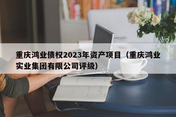 重庆鸿业债权2023年资产项目（重庆鸿业实业集团有限公司评级）