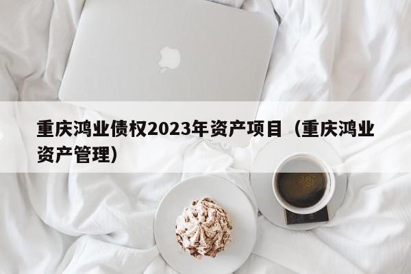 重庆鸿业债权2023年资产项目（重庆鸿业资产管理）
