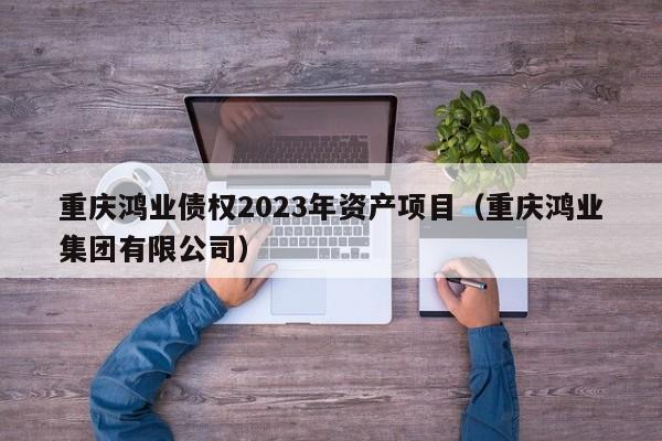 重庆鸿业债权2023年资产项目（重庆鸿业集团有限公司）