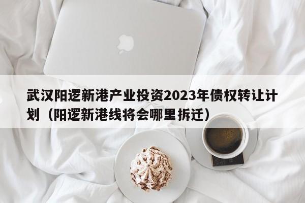 武汉阳逻新港产业投资2023年债权转让计划（阳逻新港线将会哪里拆迁）