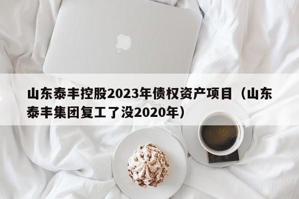 山东泰丰控股2023年债权资产项目（山东泰丰集团复工了没2020年）