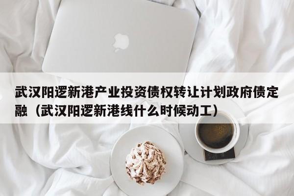 武汉阳逻新港产业投资债权转让计划政府债定融（武汉阳逻新港线什么时候动工）