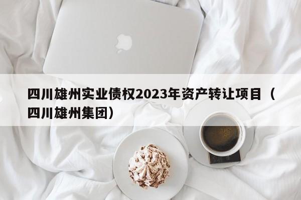 四川雄州实业债权2023年资产转让项目（四川雄州集团）