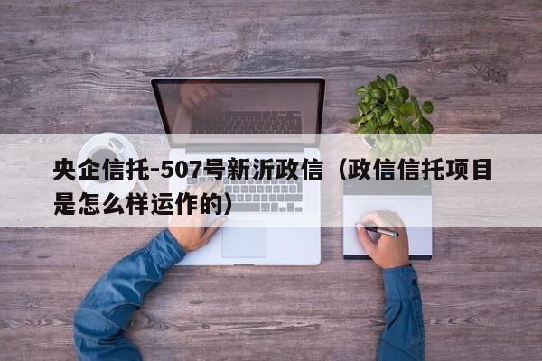 央企信托-507号新沂政信（政信信托项目是怎么样运作的）