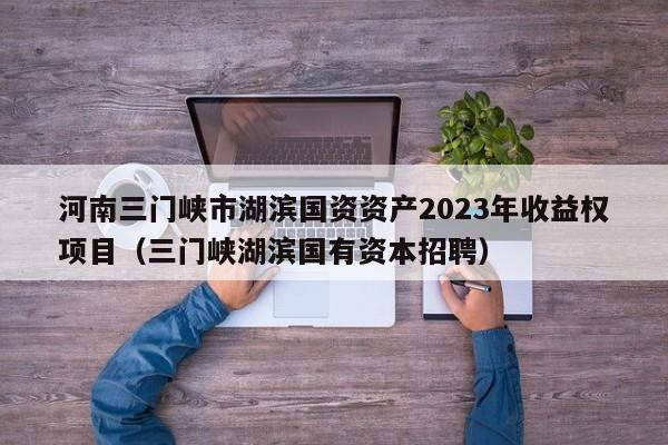 河南三门峡市湖滨国资资产2023年收益权项目（三门峡湖滨国有资本招聘）