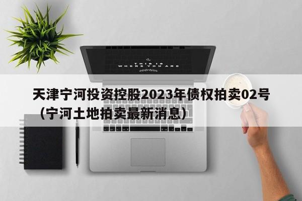 天津宁河投资控股2023年债权拍卖02号（宁河土地拍卖最新消息）