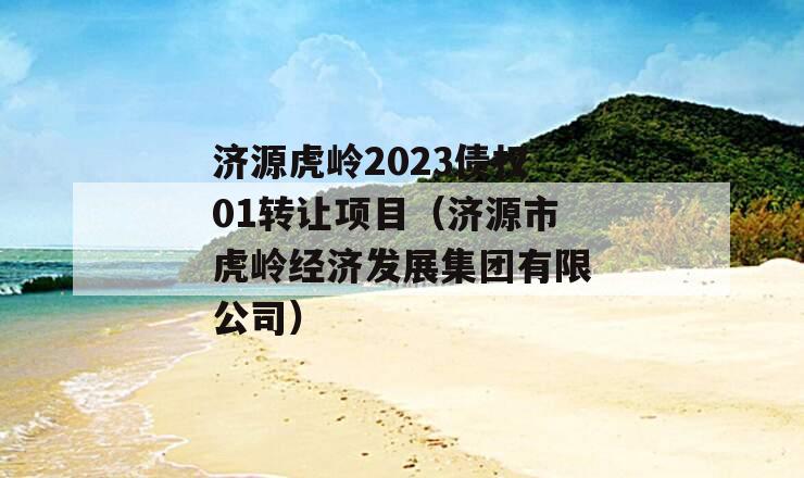 济源虎岭2023债权01转让项目（济源市虎岭经济发展集团有限公司）