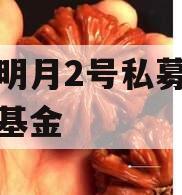 安放明月2号私募证券投资基金