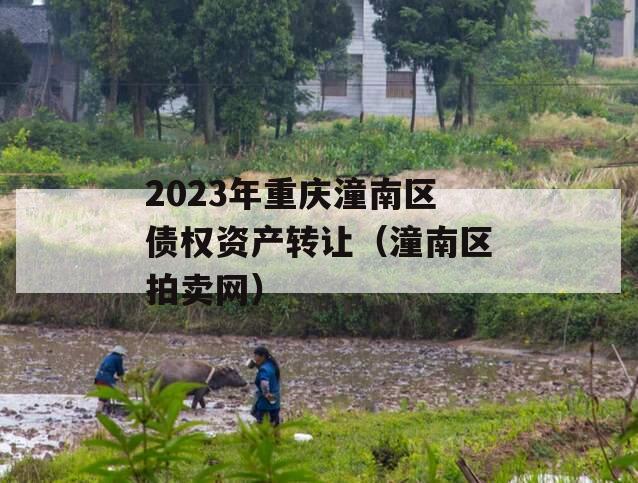 2023年重庆潼南区债权资产转让（潼南区拍卖网）