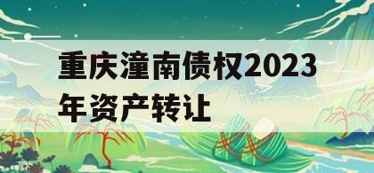 重庆潼南债权2023年资产转让