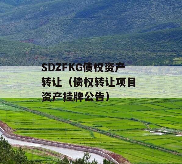 SDZFKG债权资产转让（债权转让项目 资产挂牌公告）