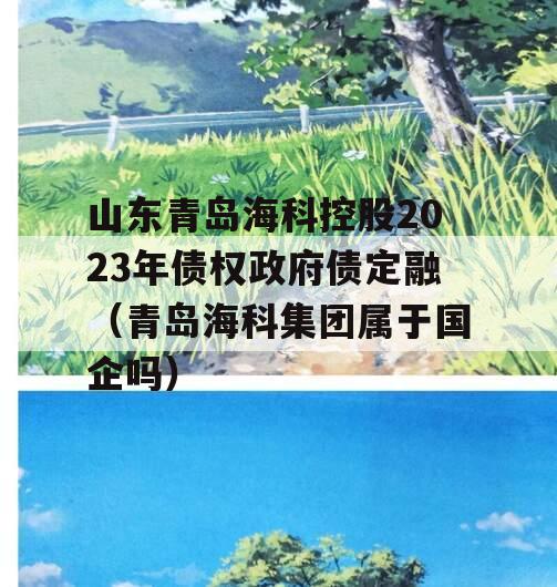 山东青岛海科控股2023年债权政府债定融（青岛海科集团属于国企吗）