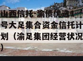 山西信托-渝债优选1号大足集合资金信托计划（渝足集团经营状况）