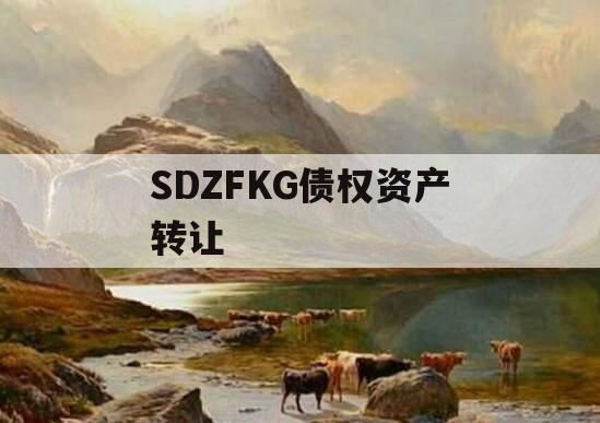 SDZFKG债权资产转让