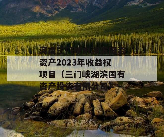 河南三门峡市湖滨国资资产2023年收益权项目（三门峡湖滨国有资产投资有限公司）