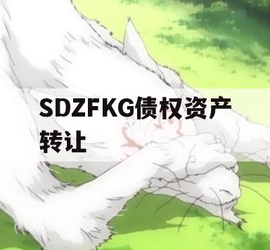 SDZFKG债权资产转让