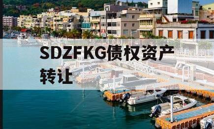 SDZFKG债权资产转让