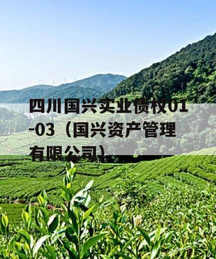 四川国兴实业债权01-03（国兴资产管理有限公司）