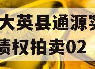 四川大英县通源实业2023债权拍卖02