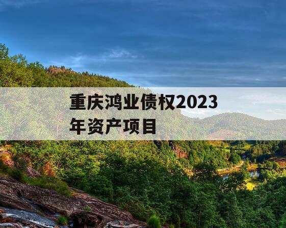 重庆鸿业债权2023年资产项目