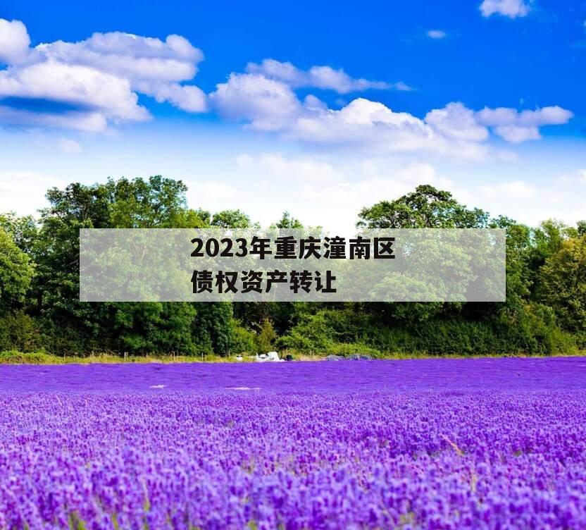 2023年重庆潼南区债权资产转让