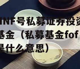 NNF号私募证券投资基金（私募基金fof是什么意思）