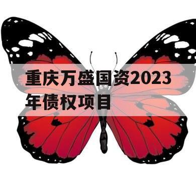 重庆万盛国资2023年债权项目