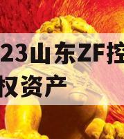 2023山东ZF控股债权资产