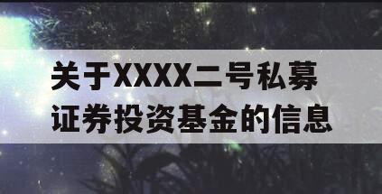 关于XXXX二号私募证券投资基金的信息