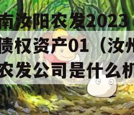 河南汝阳农发2023年债权资产01（汝州市农发公司是什么机构）