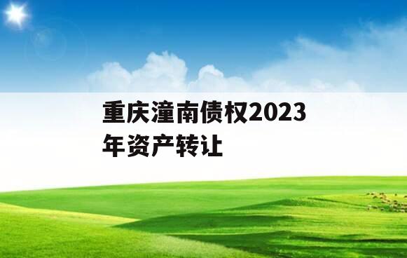 重庆潼南债权2023年资产转让