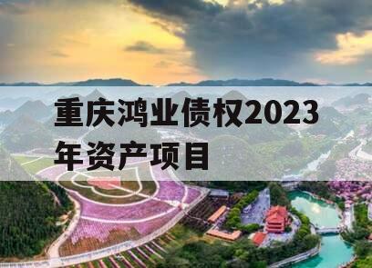 重庆鸿业债权2023年资产项目