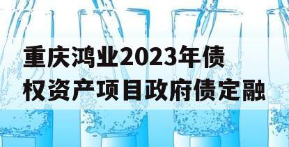 重庆鸿业2023年债权资产项目政府债定融