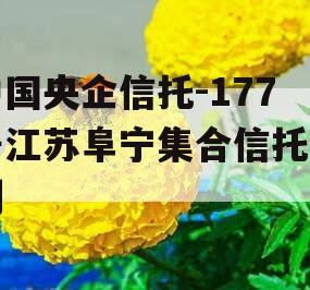 中国央企信托-177号江苏阜宁集合信托计划