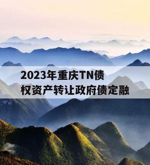 2023年重庆TN债权资产转让政府债定融