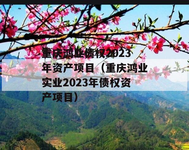 重庆鸿业债权2023年资产项目（重庆鸿业实业2023年债权资产项目）