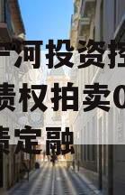 天津宁河投资控股2023年债权拍卖02号政府债定融