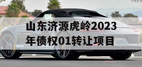 山东济源虎岭2023年债权01转让项目