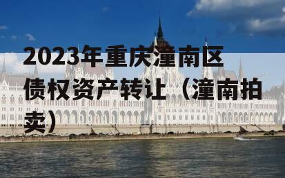 2023年重庆潼南区债权资产转让（潼南拍卖）