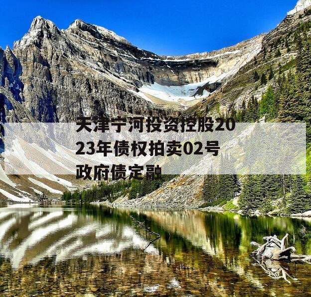 天津宁河投资控股2023年债权拍卖02号政府债定融