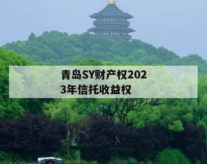 青岛SY财产权2023年信托收益权