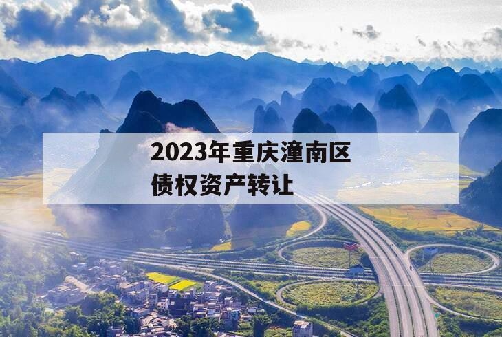 2023年重庆潼南区债权资产转让