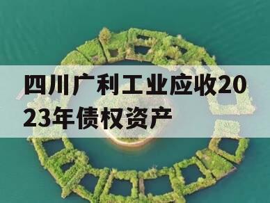 四川广利工业应收2023年债权资产