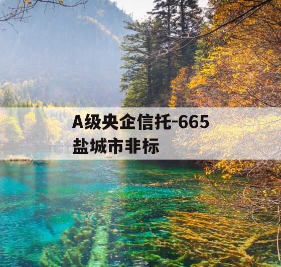 A级央企信托-665盐城市非标