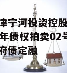 天津宁河投资控股2023年债权拍卖02号政府债定融