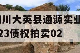 四川大英县通源实业2023债权拍卖02