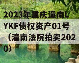 2023年重庆潼南LYKF债权资产01号（潼南法院拍卖2020）